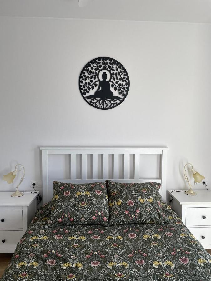 Acogedor Apartamento Vallparadis Con Parking Terrassa Extérieur photo
